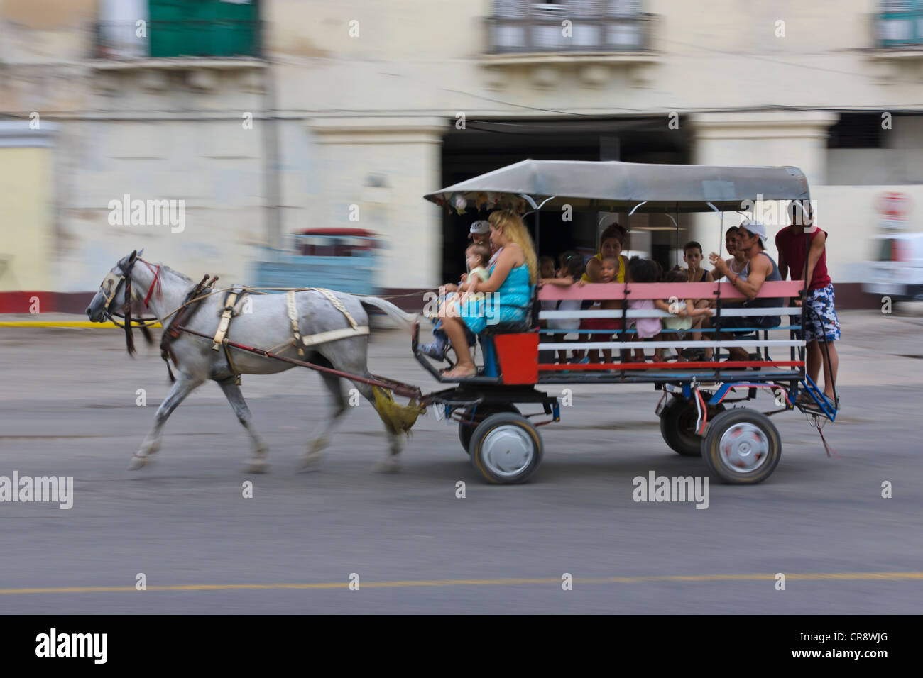 Pferdekutsche (Nahverkehr) auf der Straße, Havanna, UNESCO-Weltkulturerbe, Kuba Stockfoto