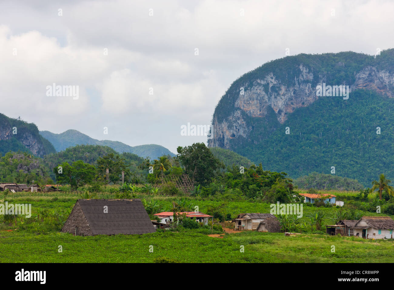 Kalkstein-Hügel, Landwirtschaft, Land und Tabak Trocknung Haus in Vinales Tal, UNESCO-Weltkulturerbe, Kuba Stockfoto