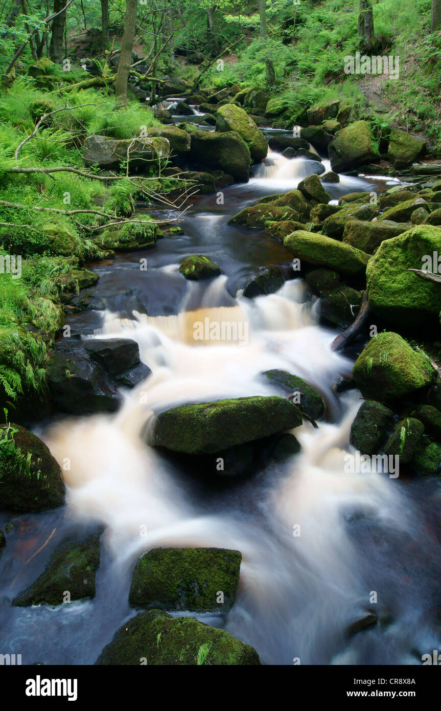 UK, Derbyshire, Peak District, Burbage Bach fließt durch Padley Schlucht Stockfoto