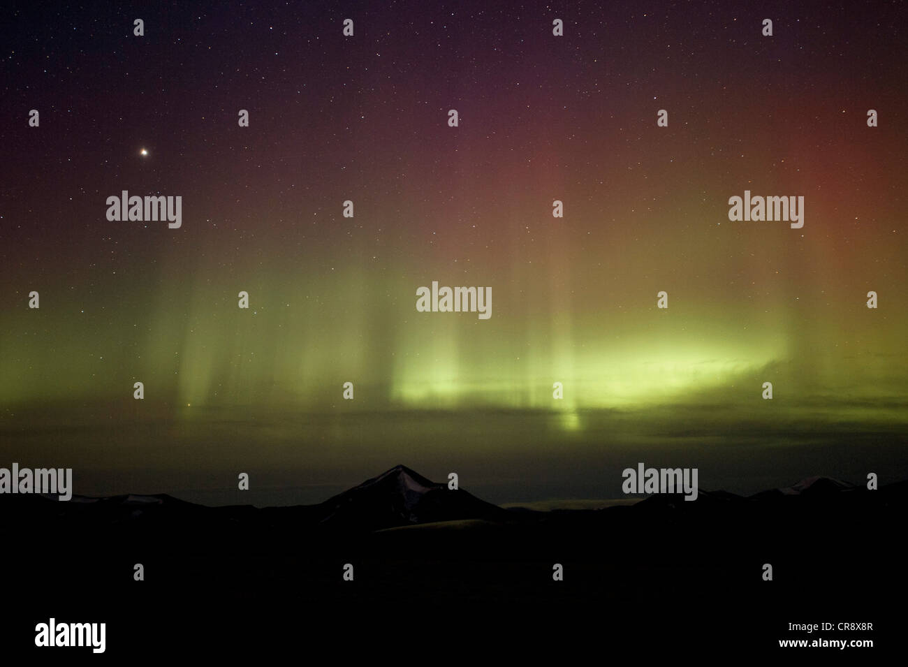 Grüne und seltene rote Polarlicht, Aurora Borealis, Spitzbergen, Svalbard, Norwegen, Skandinavien, Europa Stockfoto