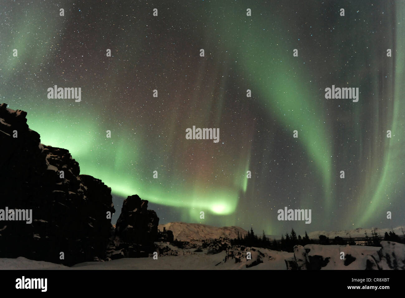 Nordlichter (Aurora Borealis) über die Schluchten erstellt von Continental Drift, Þingvellir, Island, Europa Stockfoto