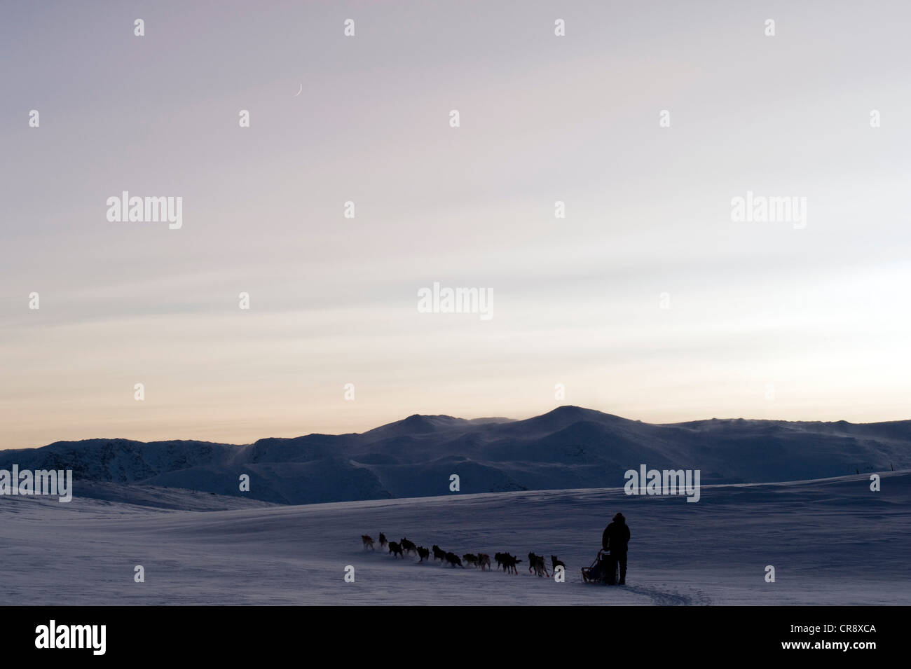 Schlittenhunde-Team vor den Bergen der Finnmark, Lappland, Norwegen, Europa Stockfoto