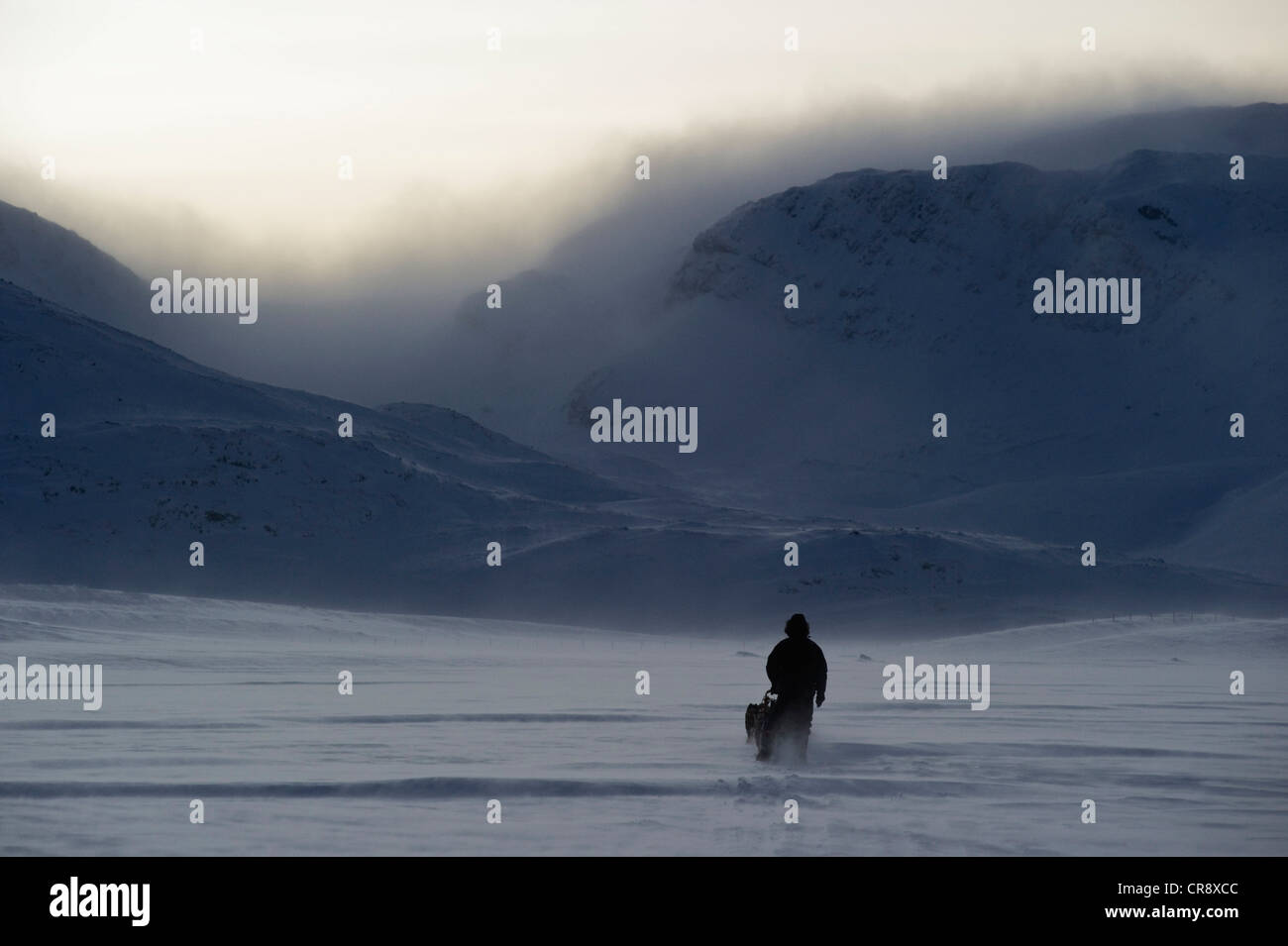 Schlittenhunde-Team vor den Bergen der Finnmark, Lappland, Norwegen, Europa Stockfoto