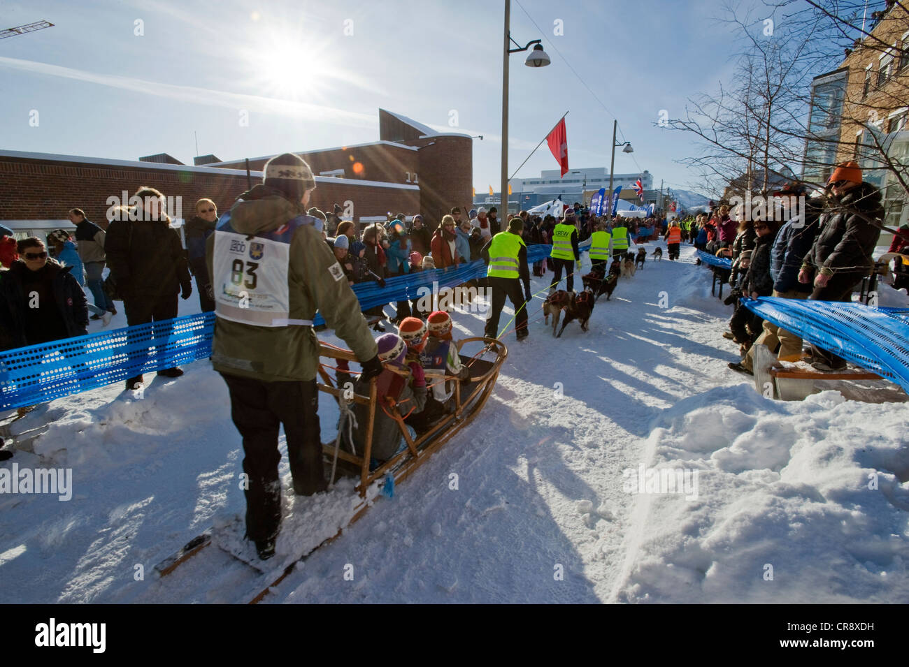 Ausgangspunkt des Finnmarksløpet, nördlichste Hundeschlittenrennen der Welt, Alta, Finnmark, Norwegen, Europa Stockfoto