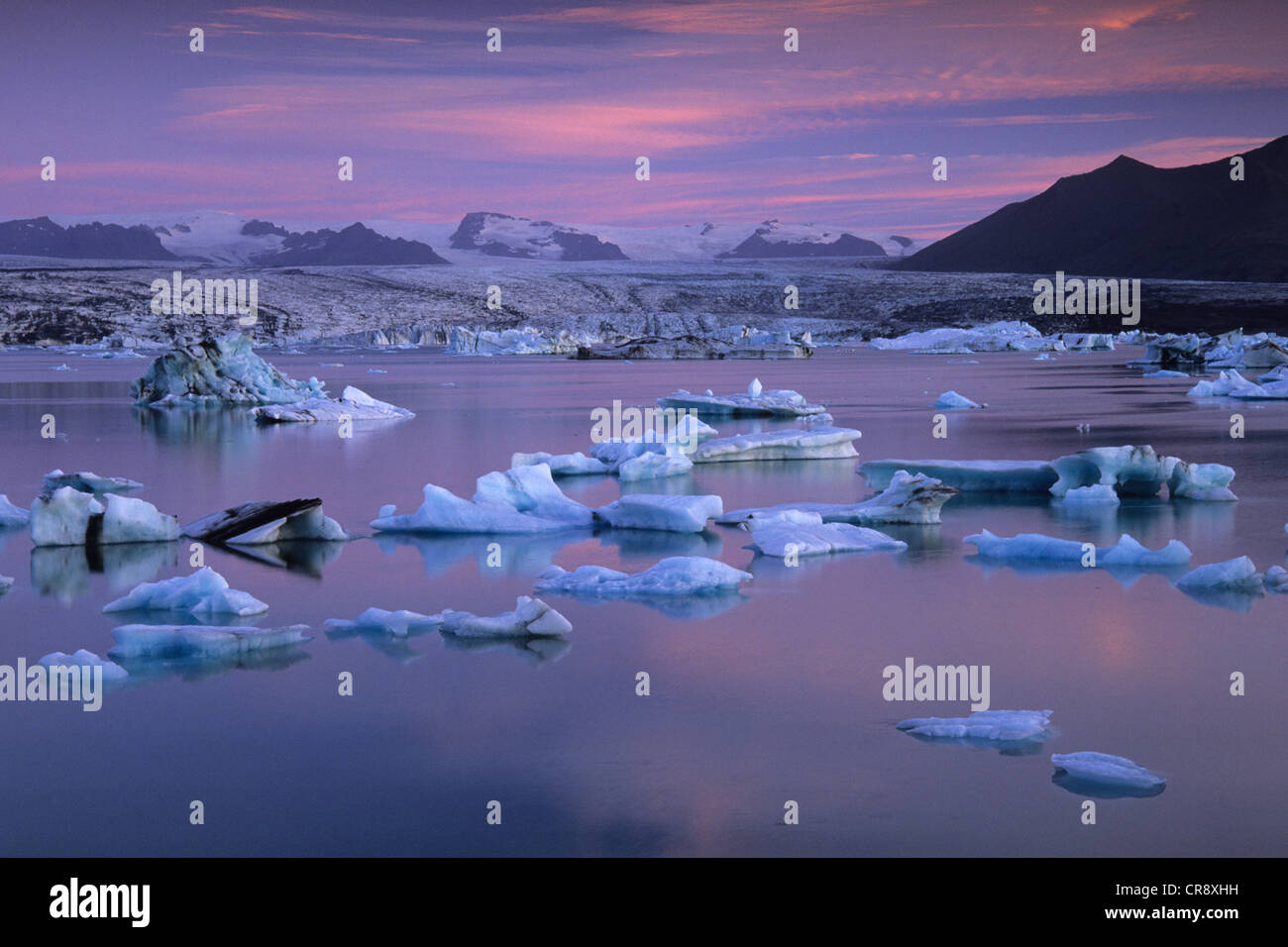 Hochsommer an der Joekulsárlón Gletscher Lagune, South Island, Island, Europa Stockfoto