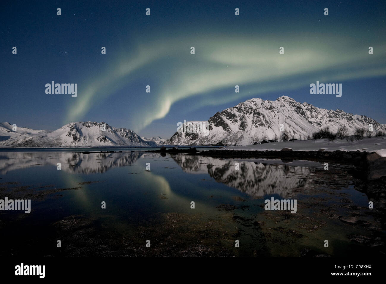 Nordlichter (Aurora Borealis), Lofoten, Nordland, Norwegen, Europa Stockfoto