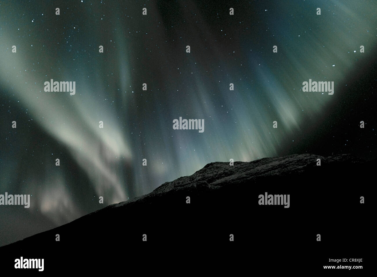 Nordlichter (Aurora Borealis), Finnmark, Norwegen, Europa Stockfoto