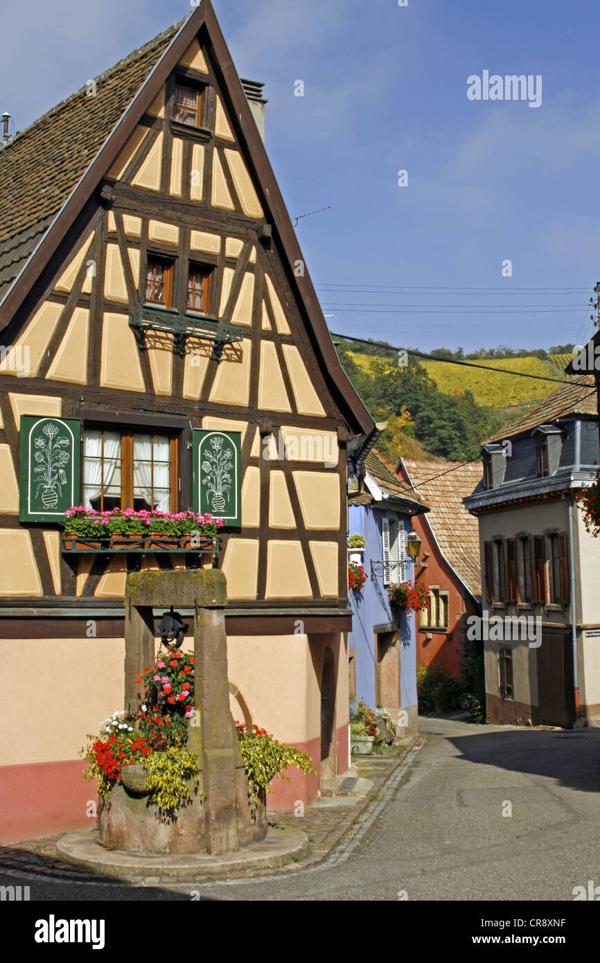 Fachwerkhaus, Straße, Niedermorschwihr, Elsass Wein Route, Frankreich, Europa Stockfoto