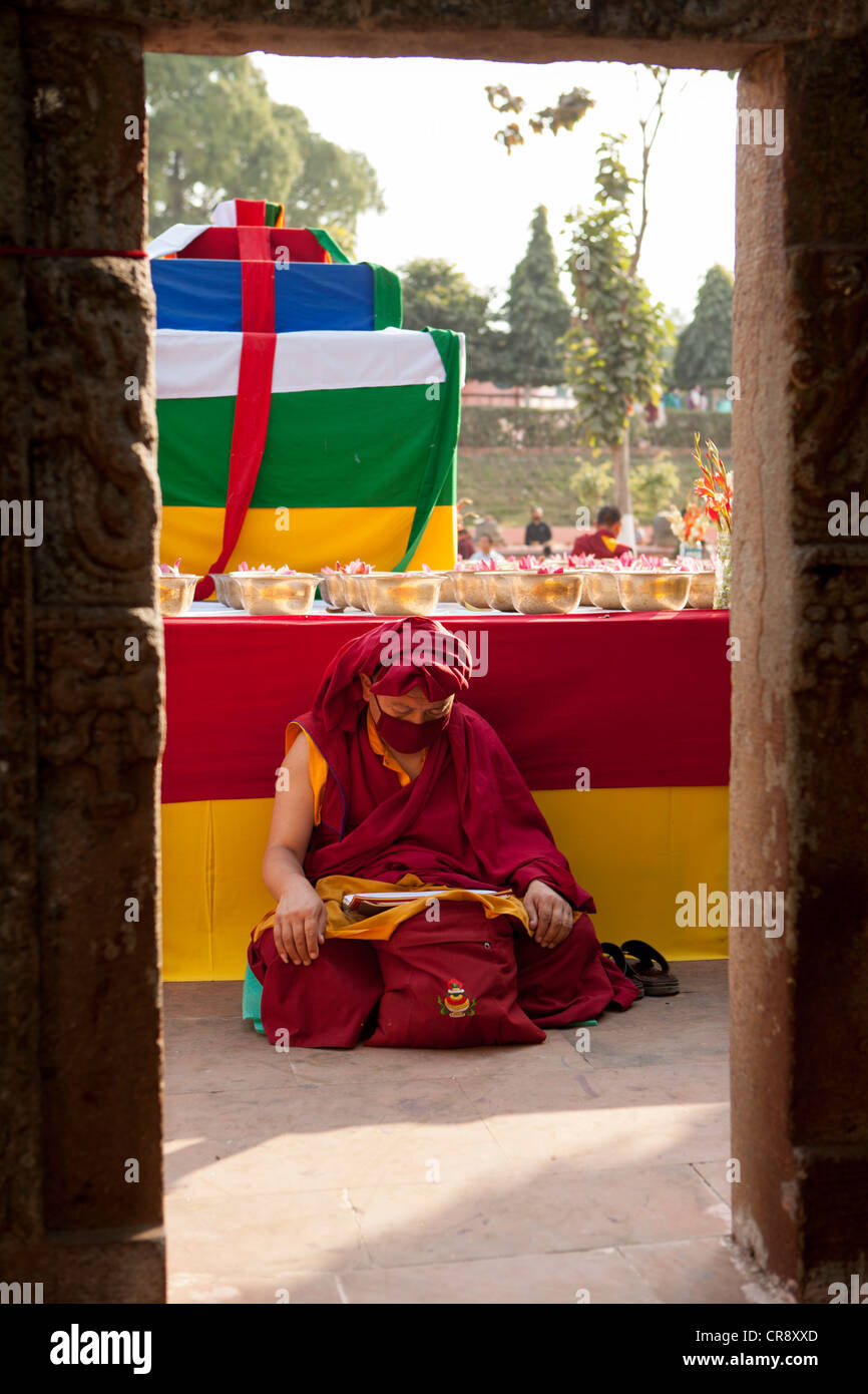 Mönch lesen buddhistische Schriften, Mahabodhi Tempel, Bodh Gaya, Bihar, Indien Stockfoto