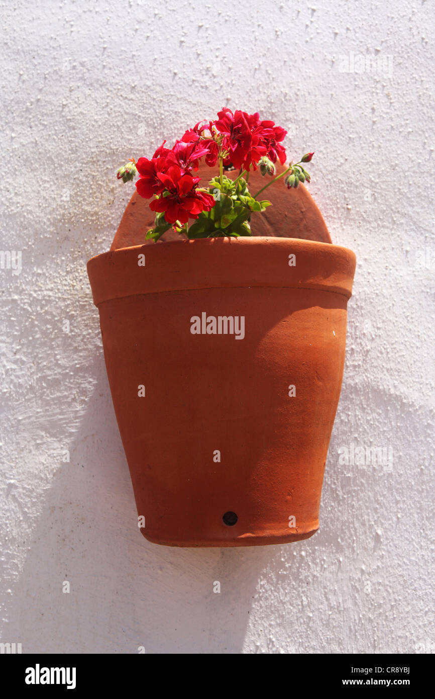 Blumentopf Montiert An Der Weiss Getunchten Wand Eines Hauses Im