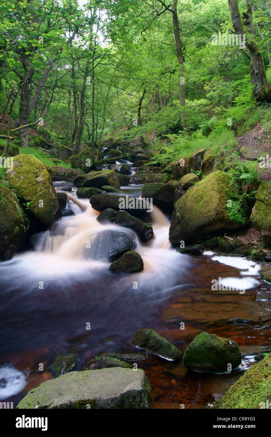 UK, Derbyshire, Peak District, Burbage Bach fließt durch Padley Schlucht Stockfoto