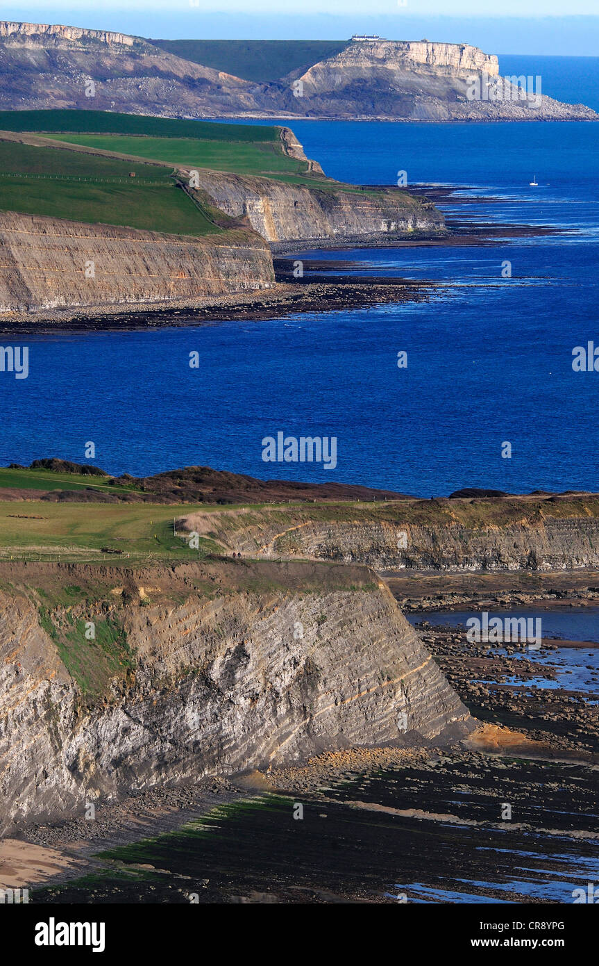 Ein Blick auf die Küste bei Kimmeridge Bucht an der Jurassic Coast Dorset UK Stockfoto