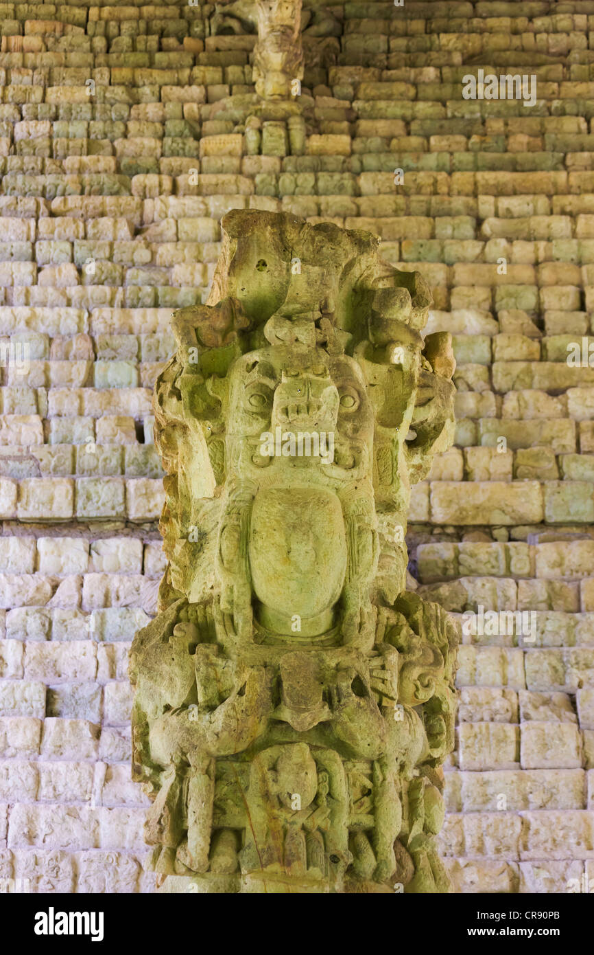 König 15 mit hieroglyphischen Treppe, Stele M, Ruinen Maya in Copan, UNESCO-Weltkulturerbe, Honduras Stockfoto