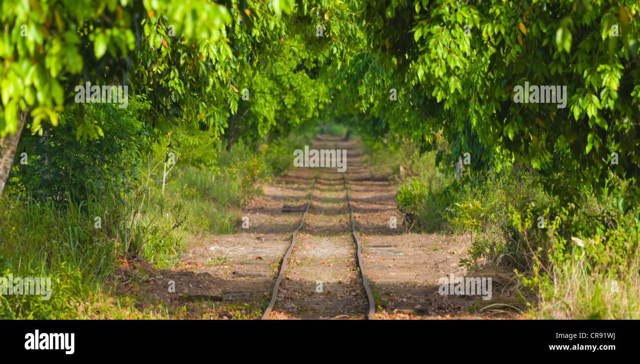 Gleis, La Ceiba, Honduras Stockfoto
