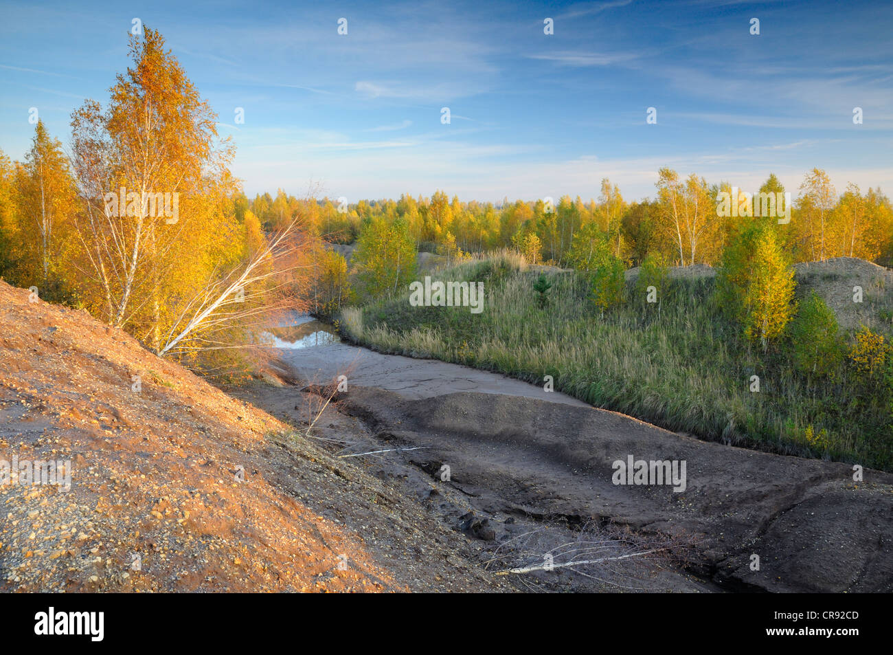 Streifen Bergbau Reklamationsgebiet im Herbst, Sachsen, Deutschland, Europa Stockfoto