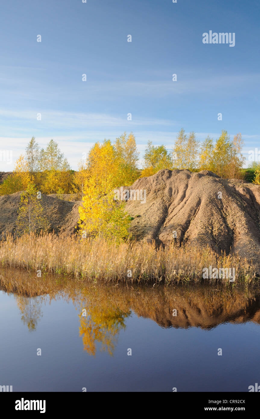 Streifen Bergbau Reklamationsgebiet im Herbst, Sachsen, Deutschland, Europa Stockfoto