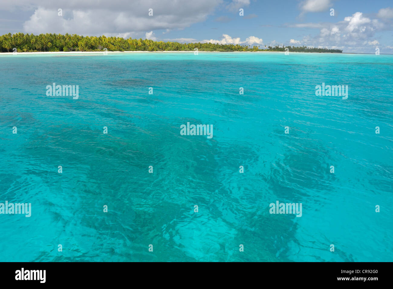 Coral Köpfe unter das türkisfarbene Meer und die Sandstrände und Palmen von Atoll Makemo, Tuamotus, Französisch Polynesien Stockfoto