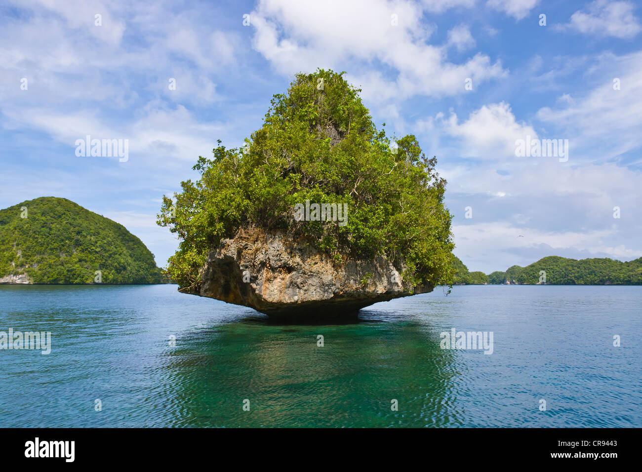 Rock Island, Palau, Mikronesien Stockfoto