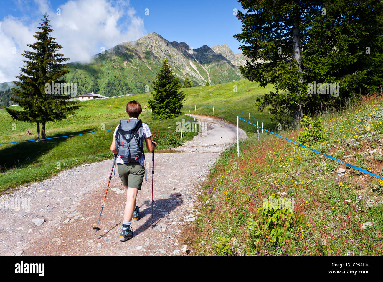 Wanderer, die Position bis Mt Ultner Hochwart oder Vedetta Alta im Ultental oder Val Ultental, auf der Clozalm Alm Stockfoto