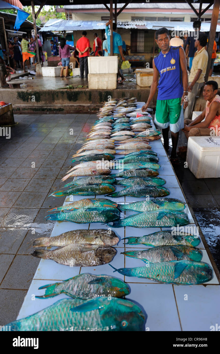 Papua Fischhändler Verkauf Korallenfische oder Lippfische auf dem Fischmarkt in Kota Biak, Biak Insel, West-Papua, Indonesien Stockfoto