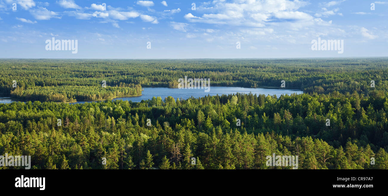 Blick vom Aboda Turm über Wälder und Seen, Aboda Klint, Smaland, Südschweden, Skandinavien, Europa Stockfoto