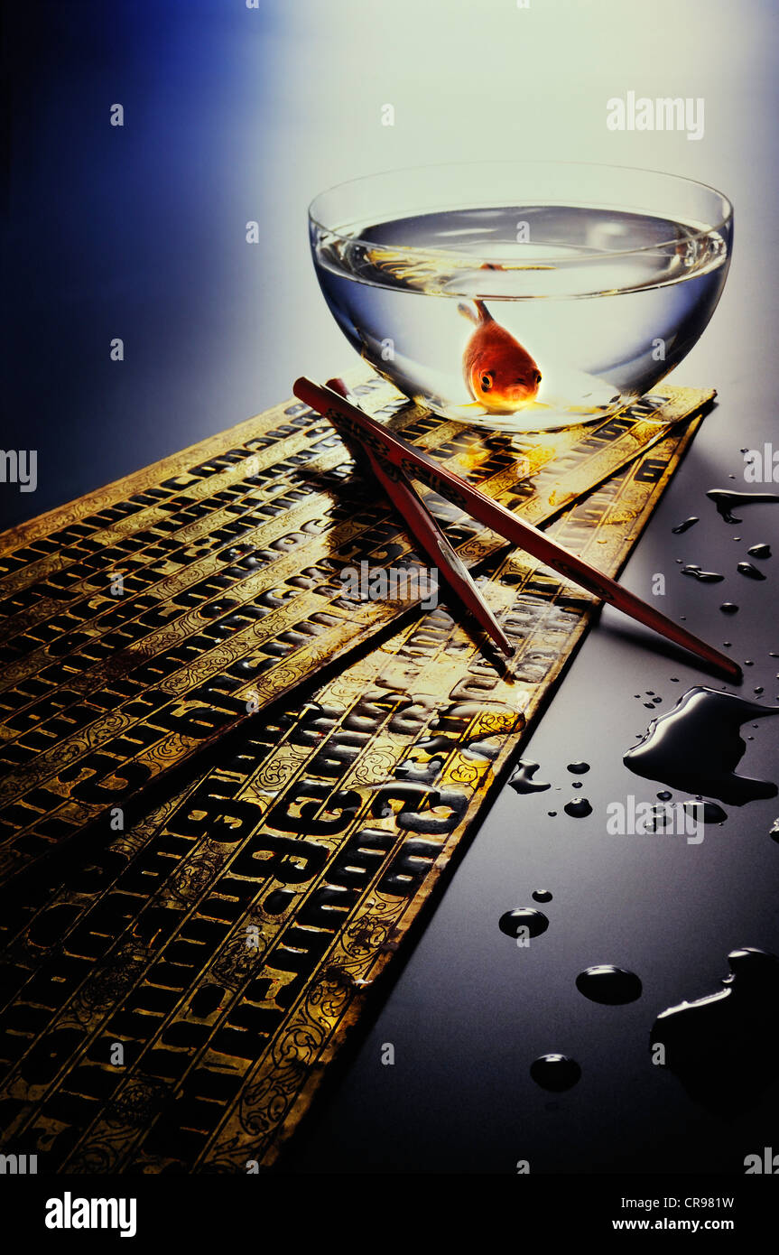 Goldfische in eine Schüssel mit Wasser mit Stäbchen auf ein Pali-Buch Stockfoto