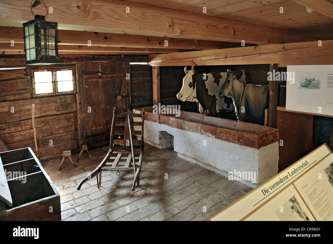 Kuhstall, Haeuslmannhof Farm, Bauernhausmuseum Amerang Bauernhaus-Museum, Amerang, Bayern, Deutschland, Europa Stockfoto