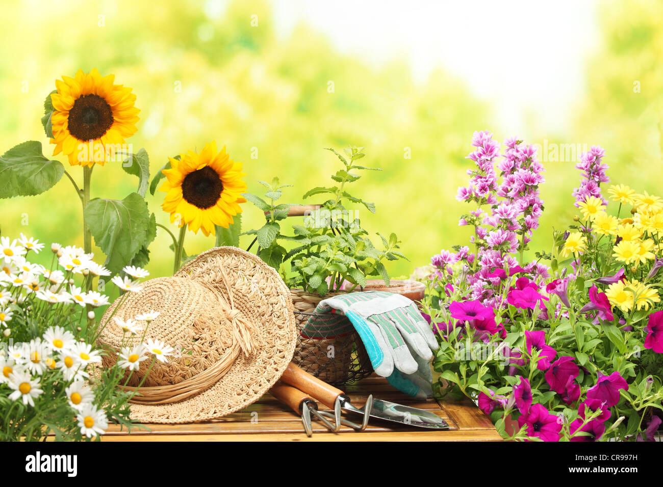 Outdoor-Gartengeräte und Blumen Stockfoto