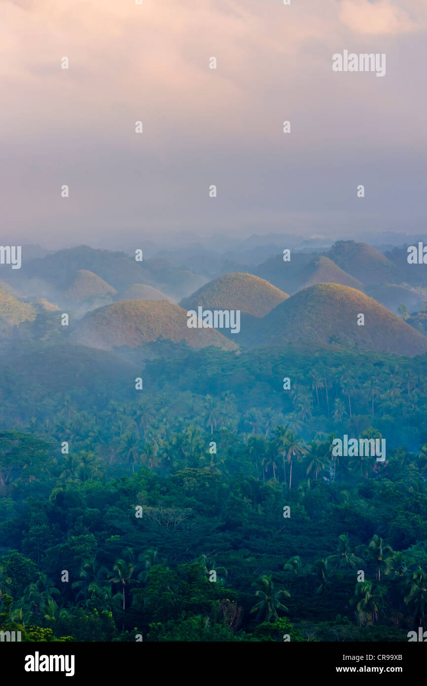 Chocolate Hills im Morgennebel, Bohol Island, Philippinen Stockfoto