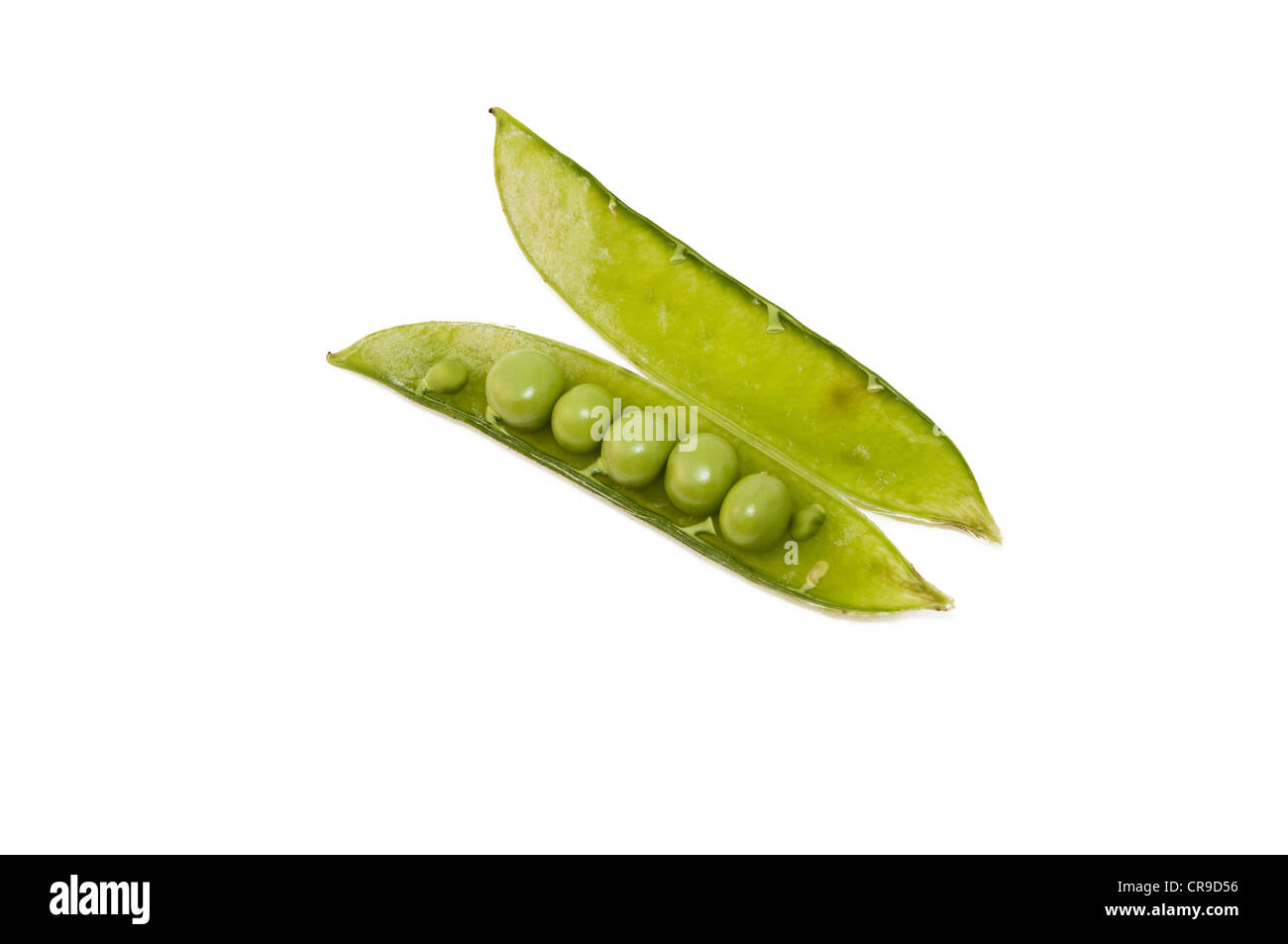 biologisch angebaute Erbsen isoliert auf weißem Hintergrund Stockfoto