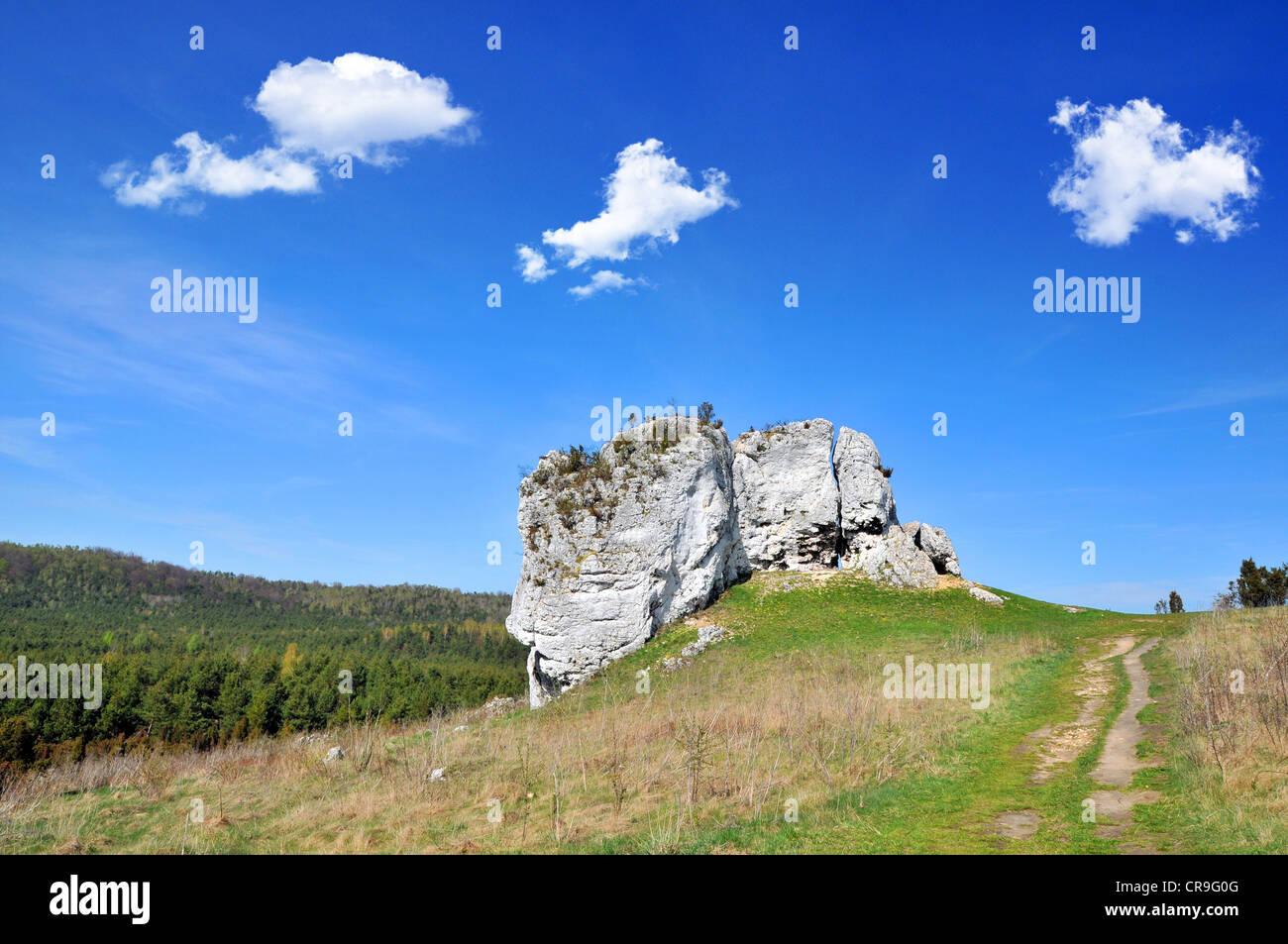 Frühling Landschaft im Jura Krakowsko-Czestochowska. Polen Stockfoto