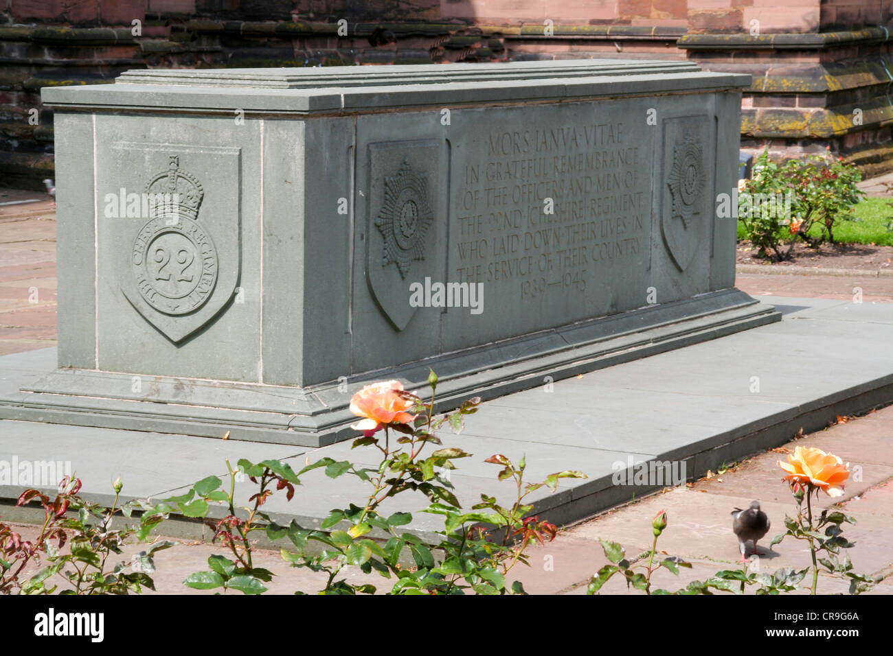 Cheshire Regiment Denkmal Chester Cheshire England Stockfoto