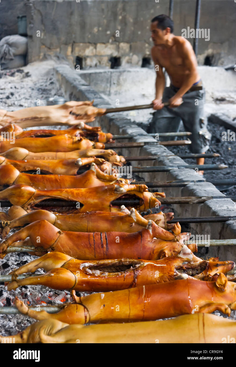 Lechon, gegrilltes ganzes Schwein, Manila, Philippinen Stockfoto