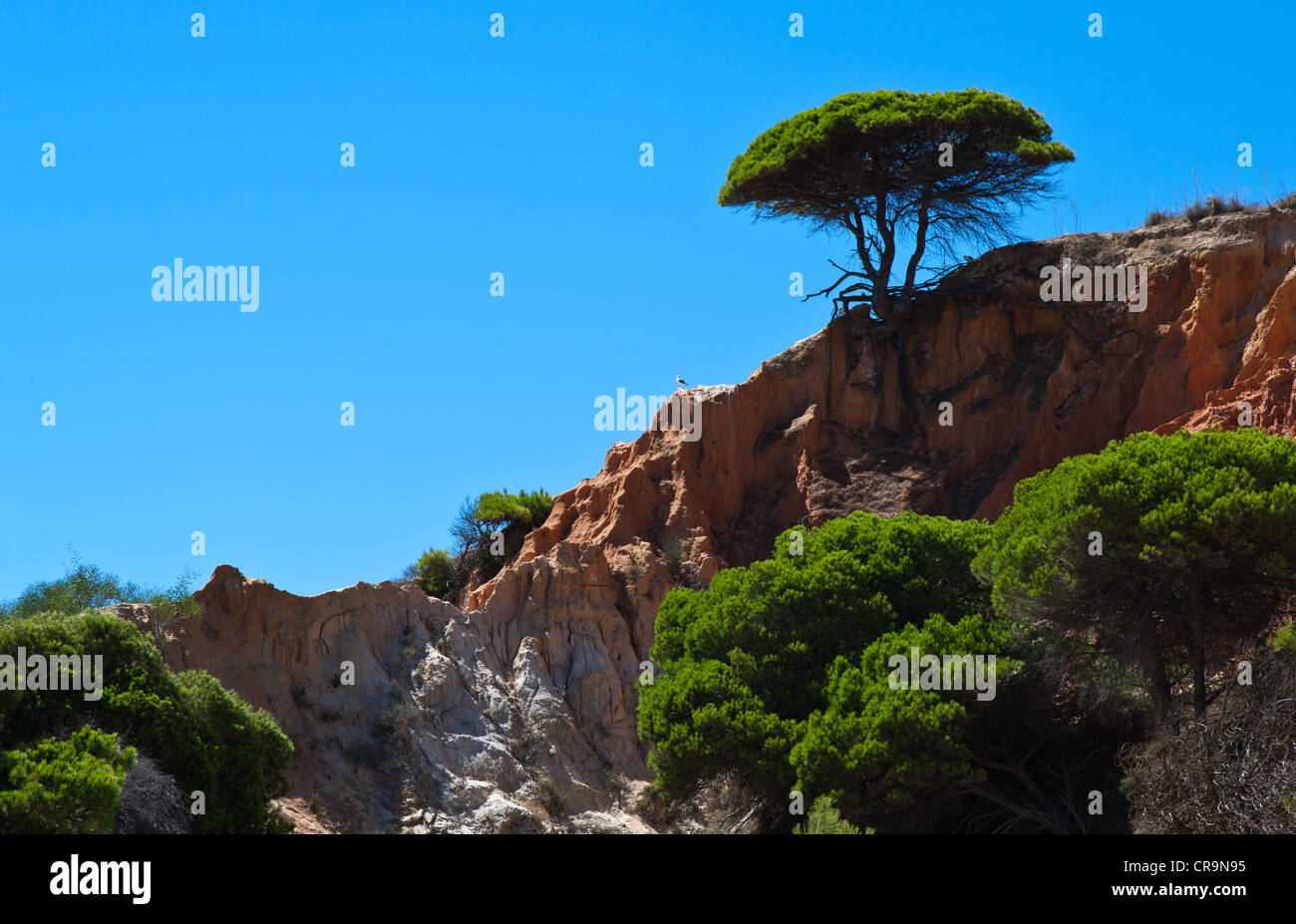 Europa Portugal, Algarve, Albufeira, Praia Da Falesia Stockfoto