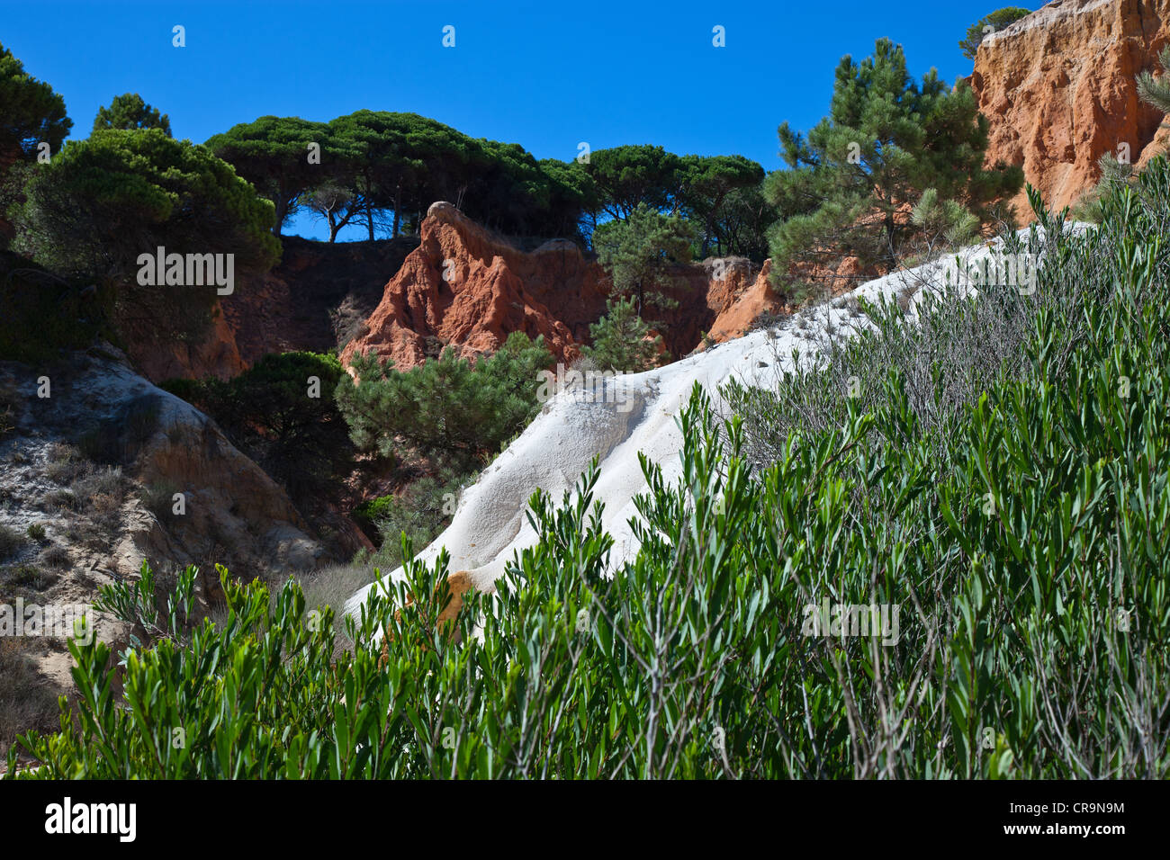 Europa Portugal, Algarve, Albufeira, Praia Da Falesia Stockfoto