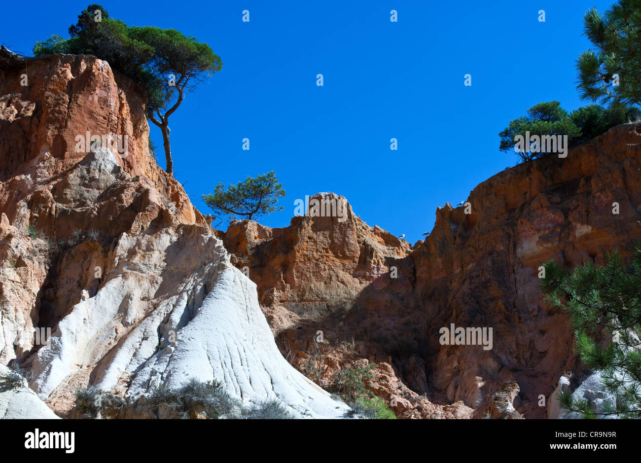 Europa Portugal, Algarve, Albufeira, Praia Da Falesia Stockfoto