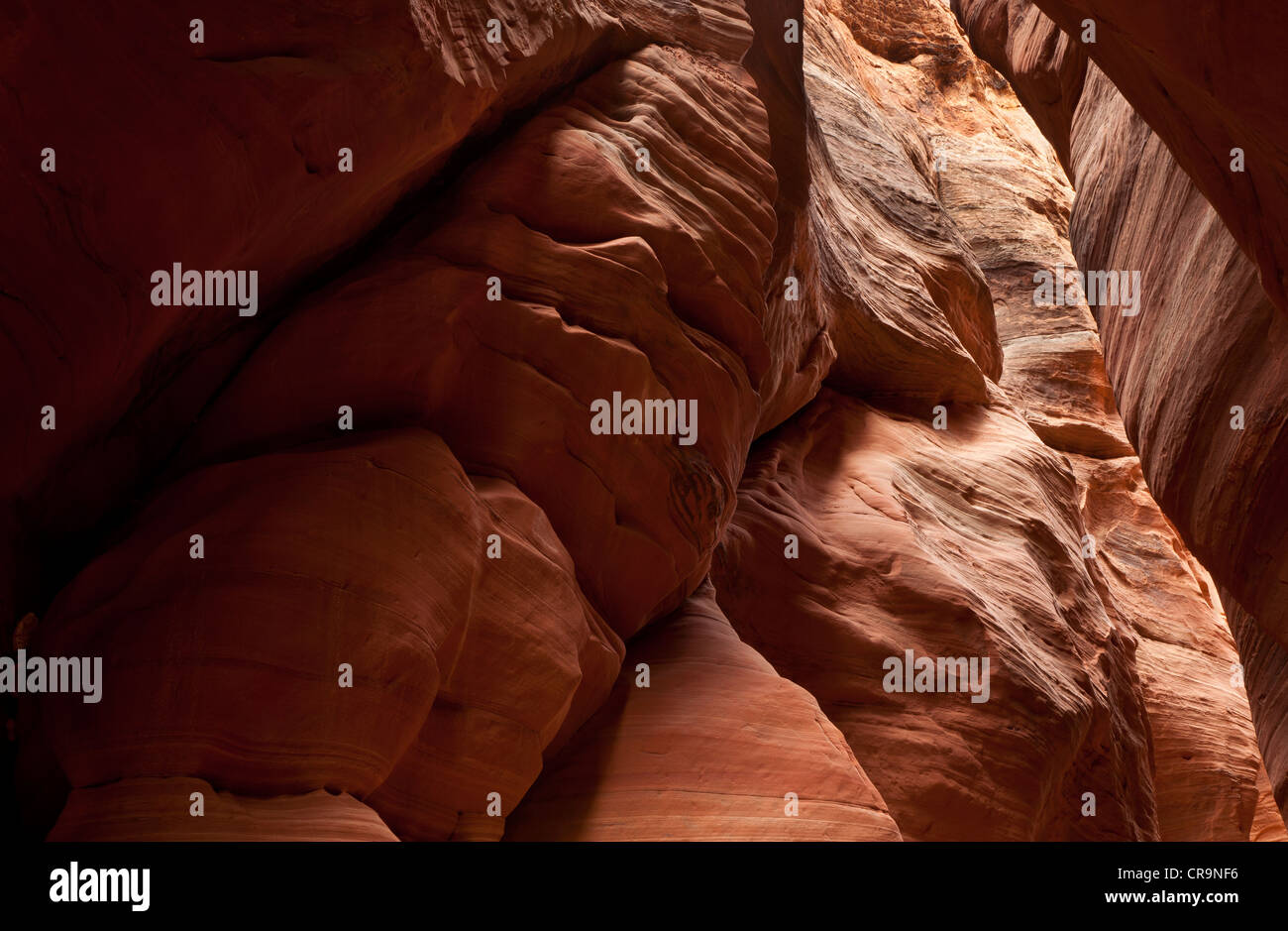 Innere Wände einen Slotcanyon auf dem Paria Plateau im südlichen Utah USA Stockfoto