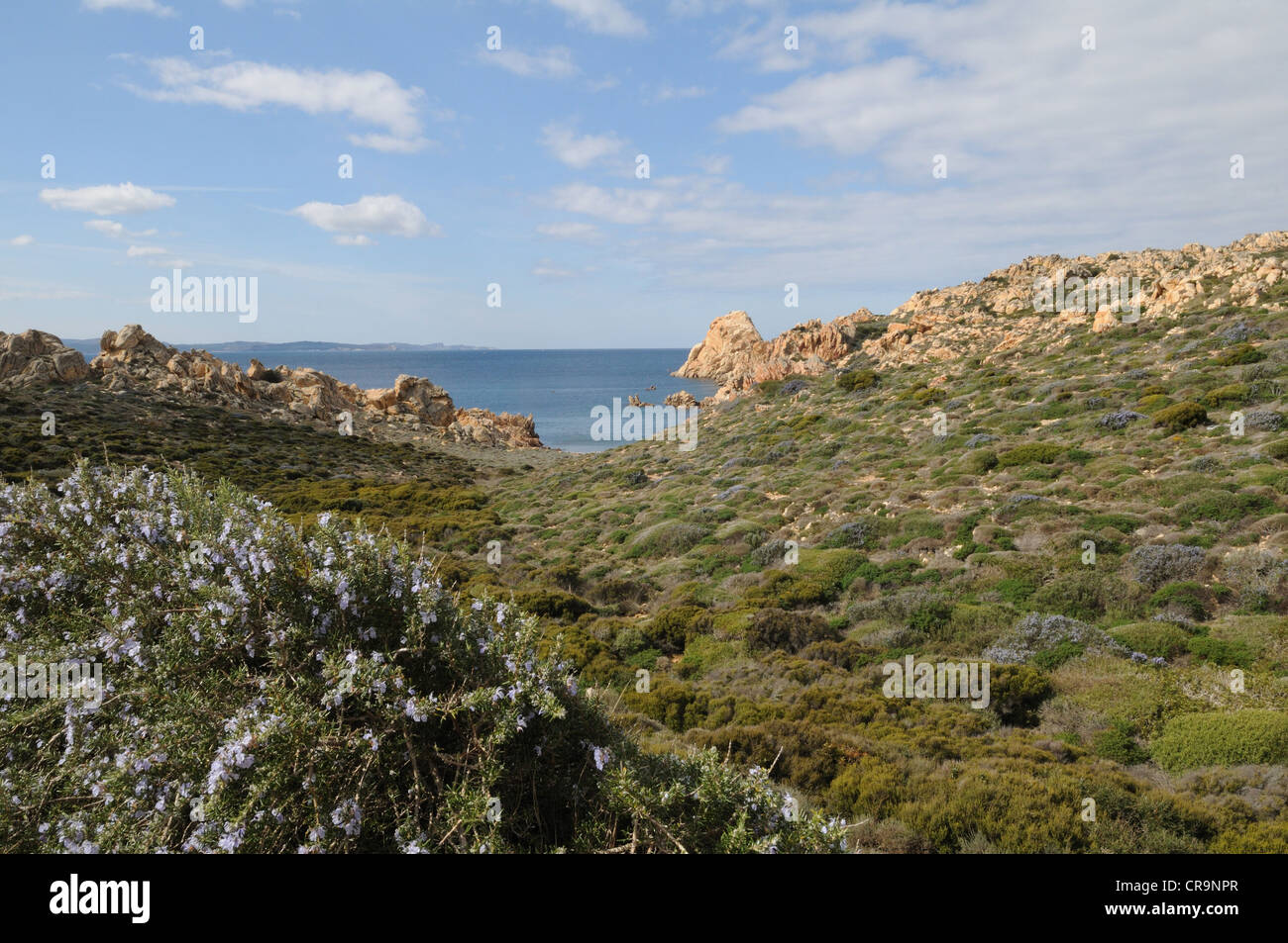 Blick auf die Razzoli Insel, La Maddalena, Sardinien, Italien Stockfoto