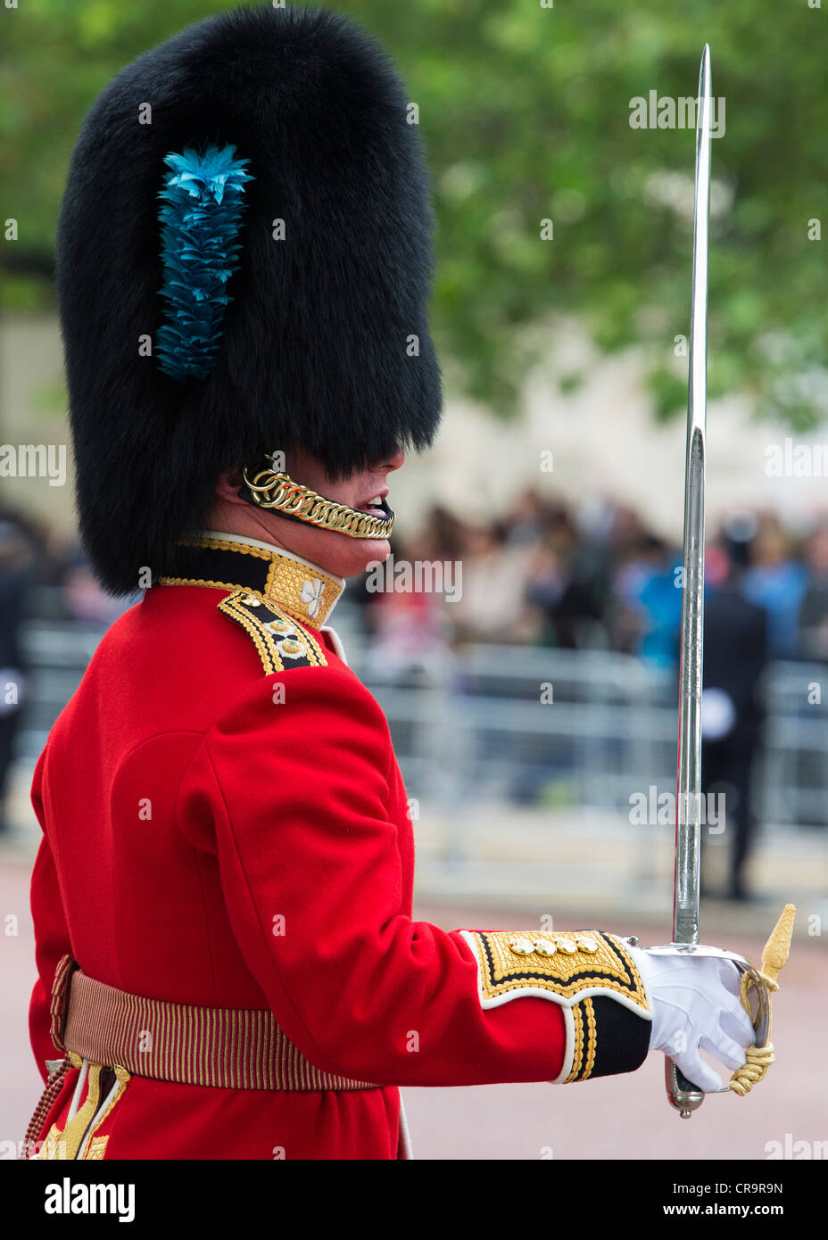 Gardisten in der Mall für Trooping The Colour, die Queen Geburtstag zu feiern. Die Mall, London, UK. Stockfoto