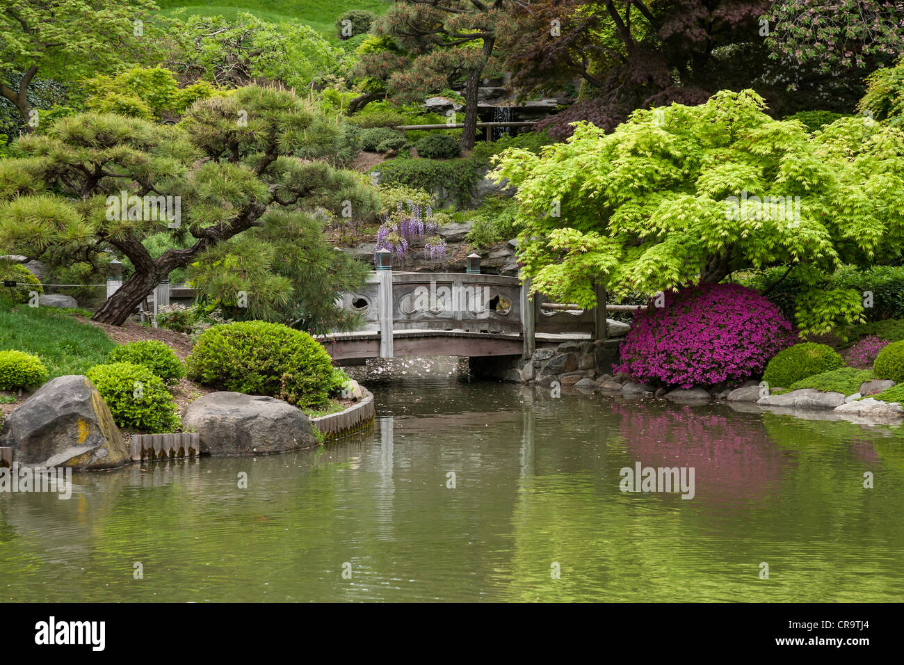 Japanische Berg-und-Teich Garten in Brooklyn Botanic Garden, NYC, USA Stockfoto