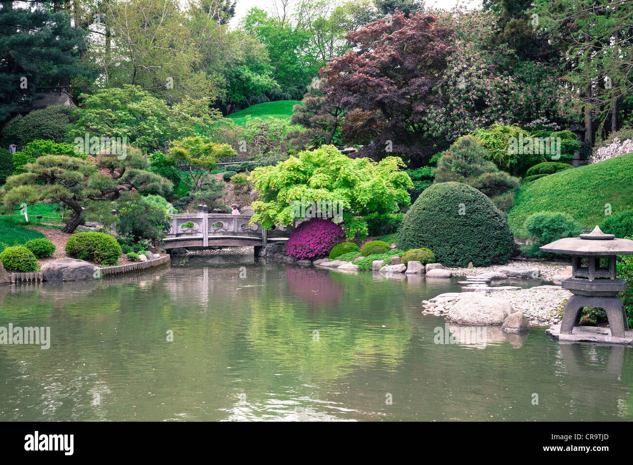 Japanische Berg Und Teich Garten In Brooklyn Botanic Garden Nyc