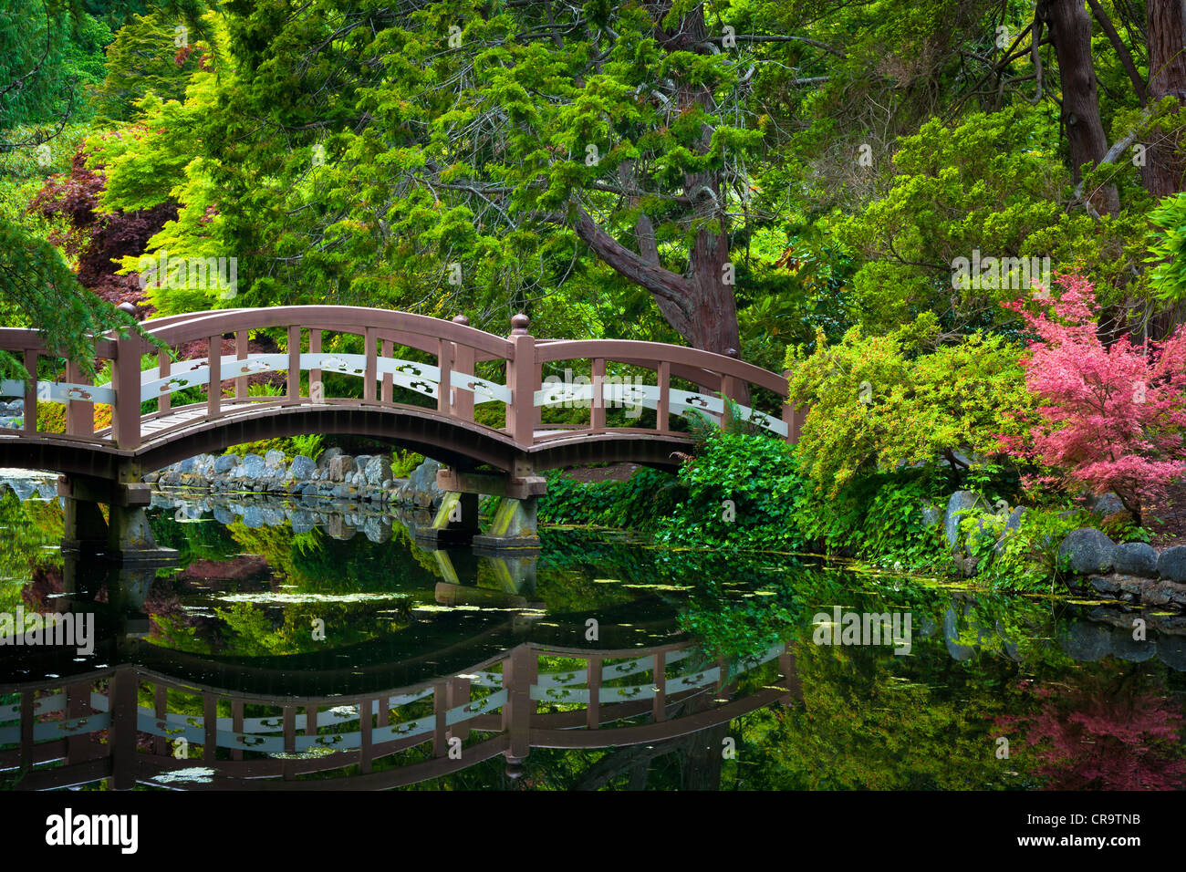 Gärten im Hatley Castle in Victoria, BC, Kanada Stockfoto