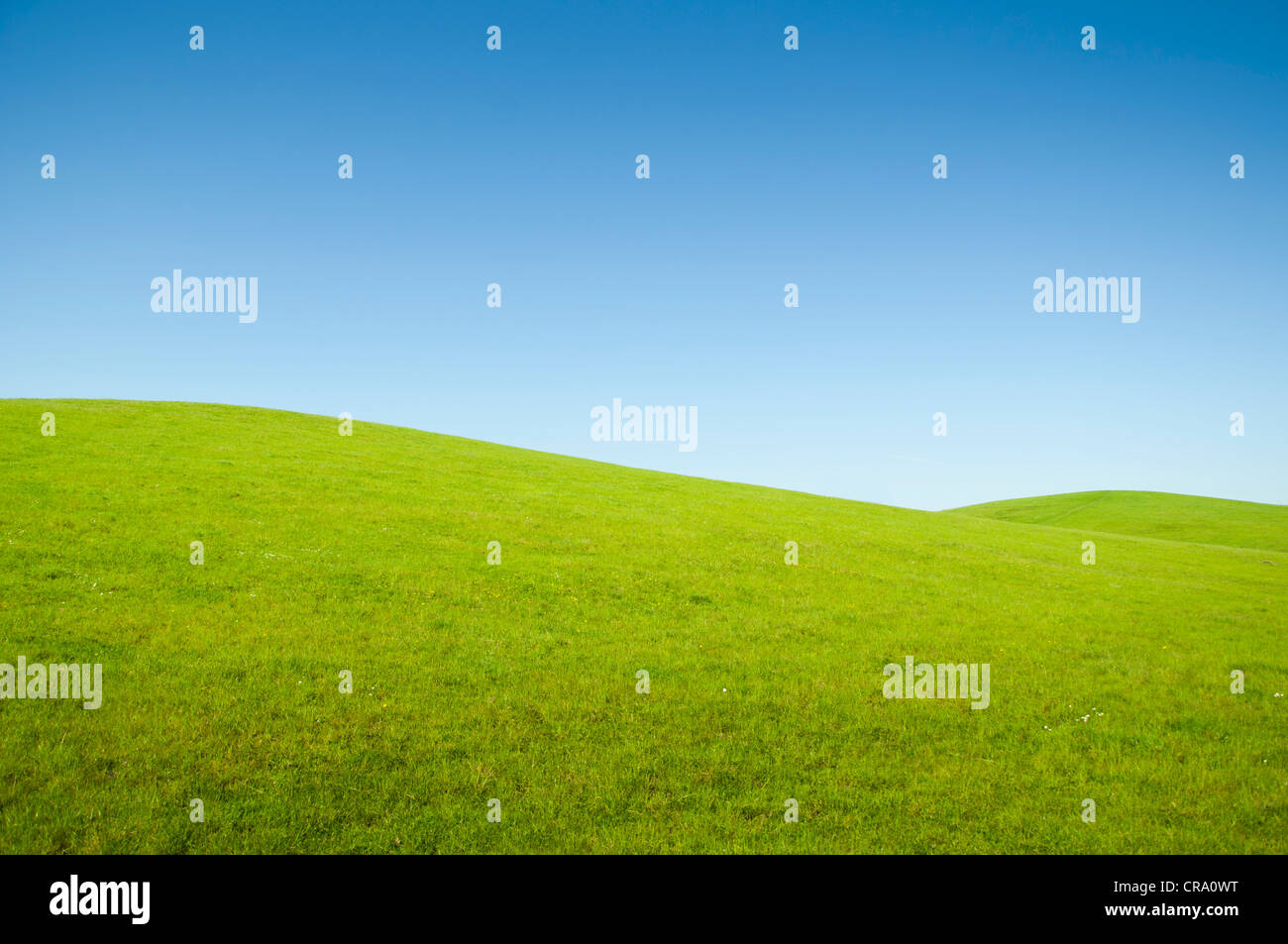 Sanfte Hügel, Wiesen und blauem Himmel. Stockfoto