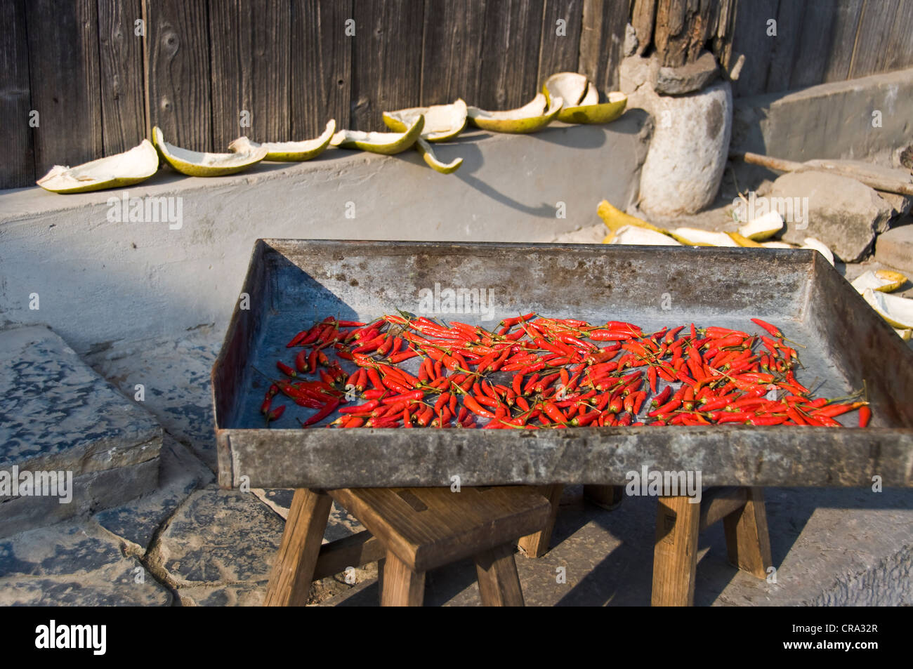 Rote Chilis trocknen in der Sonne - Dazhai Village, Provinz Shanxi, China Stockfoto