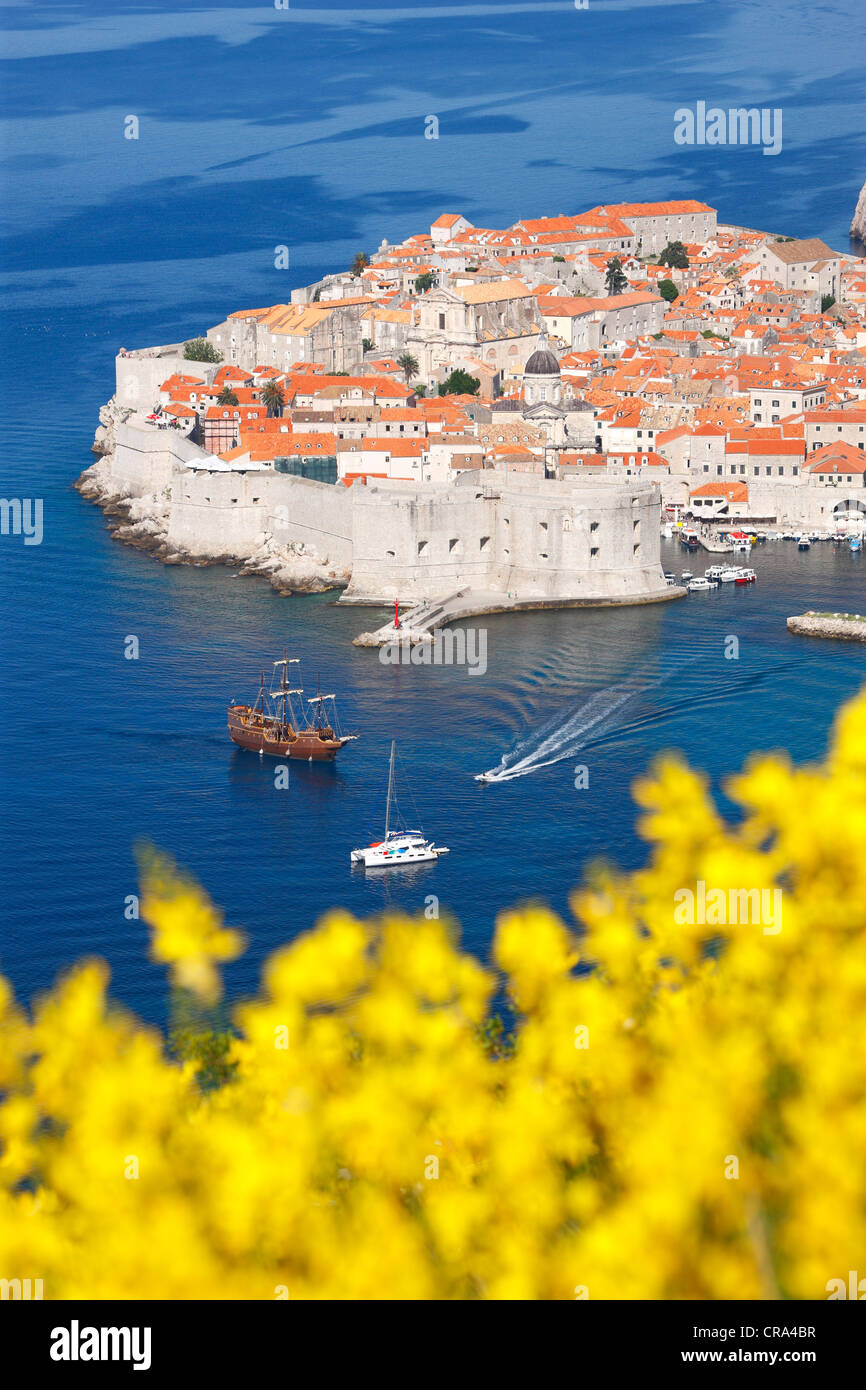 Altstadt Dubrovnik, Kroatien. Stockfoto