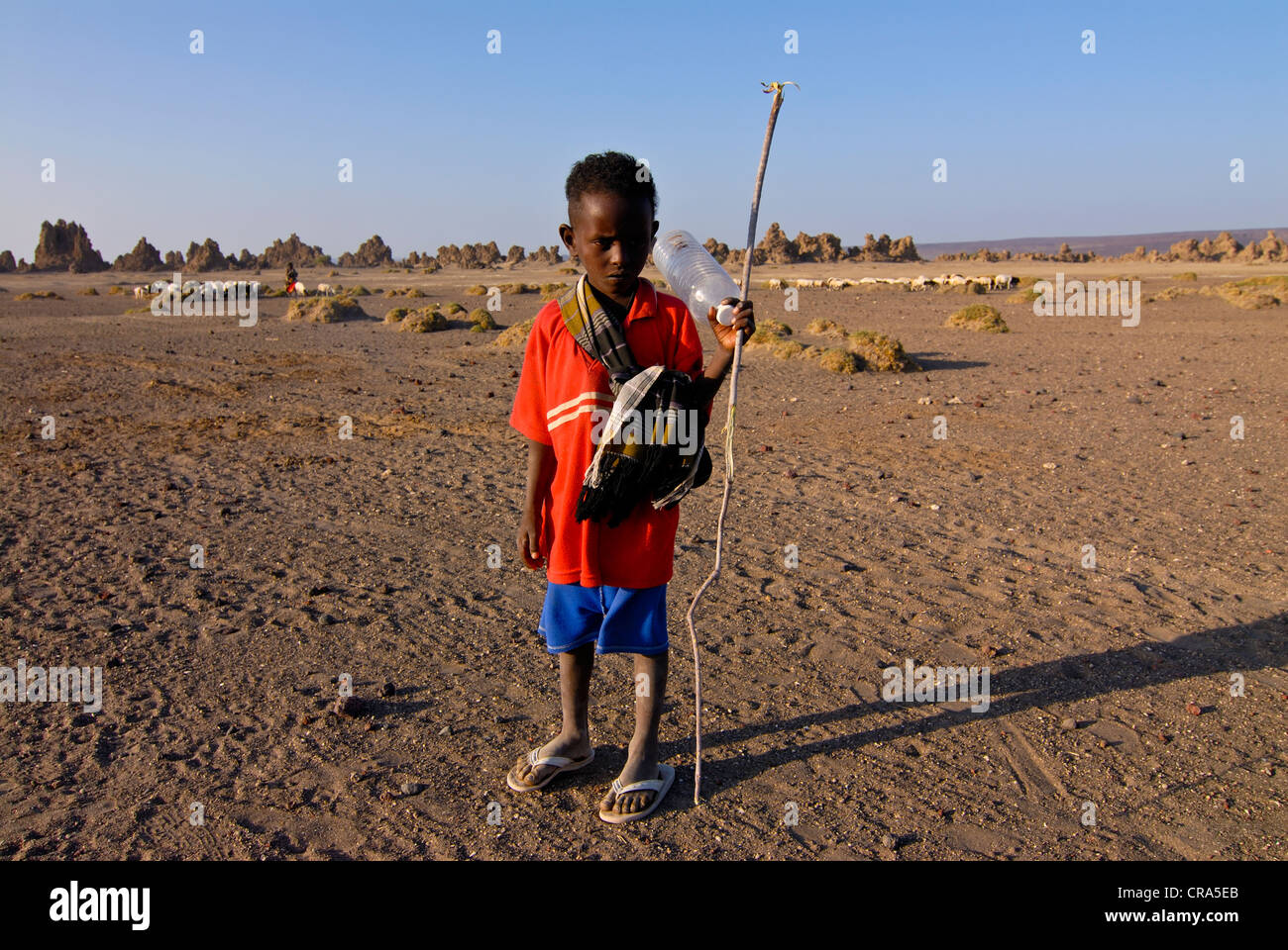 Afar Beduinen Boy am See Abbe, Dschibuti, Ost-Afrika, Afrika Stockfoto