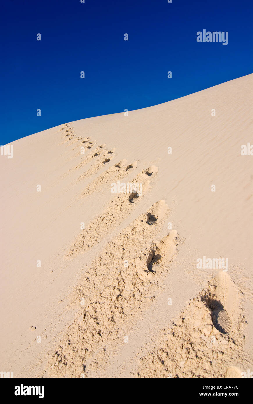 Fußabdrücke in Gips Dünen von White Sands National Monument, New Mexico, USA, Amerika Stockfoto