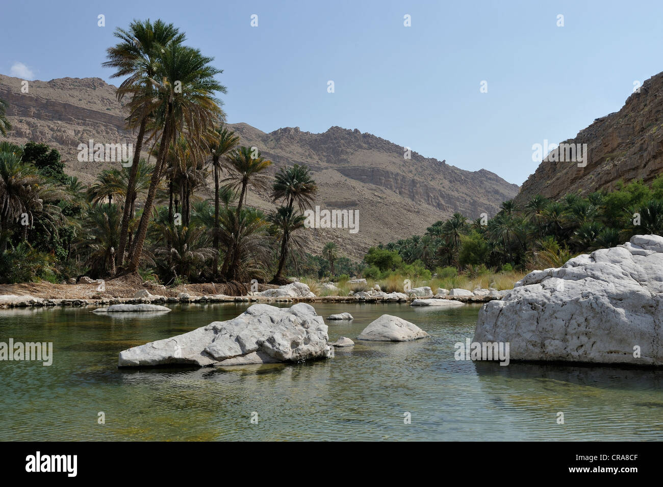 Blick auf das Wadi Bani Khalid in Oman, Naher Osten Stockfoto