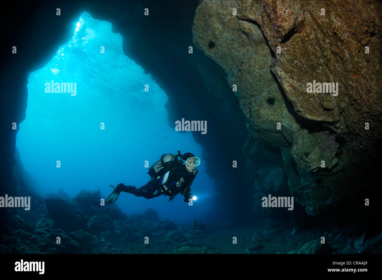 Taucher mit Fackel Tauchen in eine Felsenhöhle, Hintergrundbeleuchtung, Sonne, Meer, Atlantik, Europa, Madeira, Portugal Stockfoto