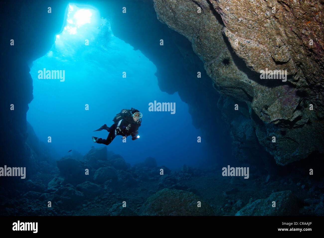 Taucher mit Fackel Tauchen in eine Felsenhöhle, Hintergrundbeleuchtung, Sonne, Meer, Atlantik, Europa, Madeira, Portugal Stockfoto